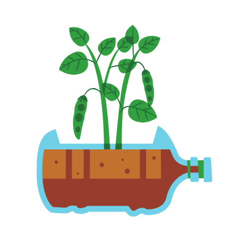 house gardening