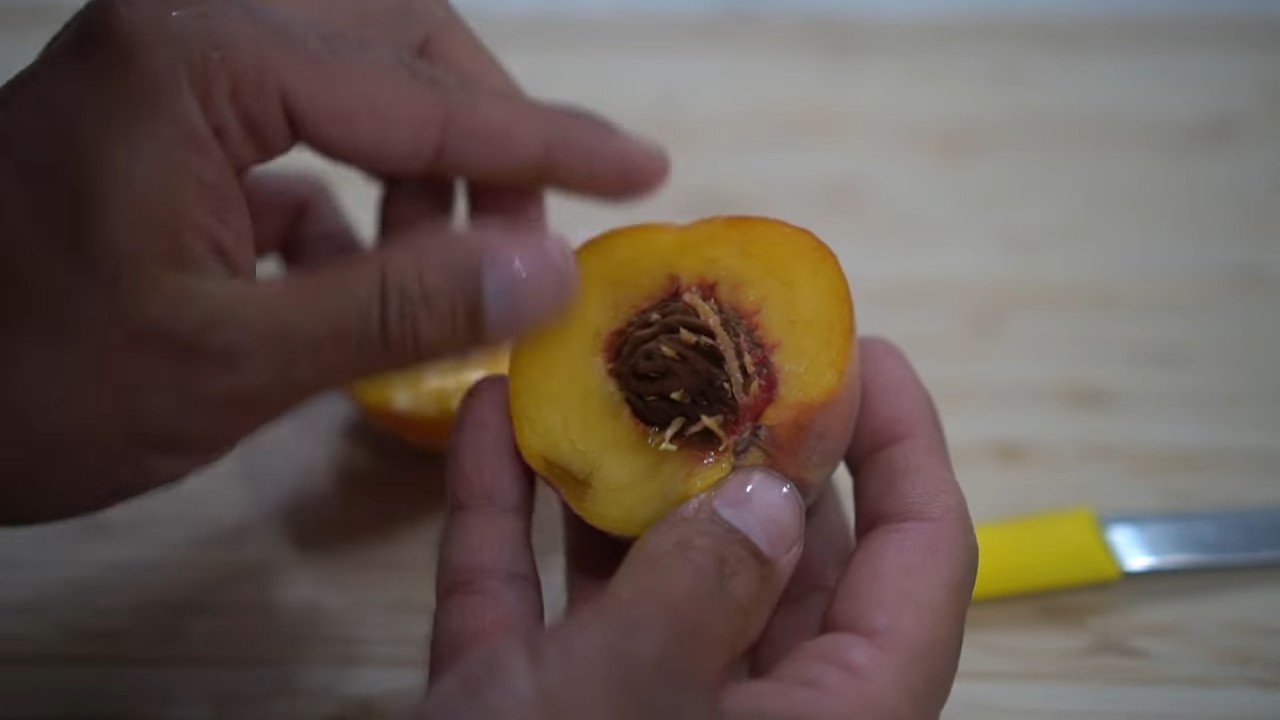 Growing Plums Kitchen Garden