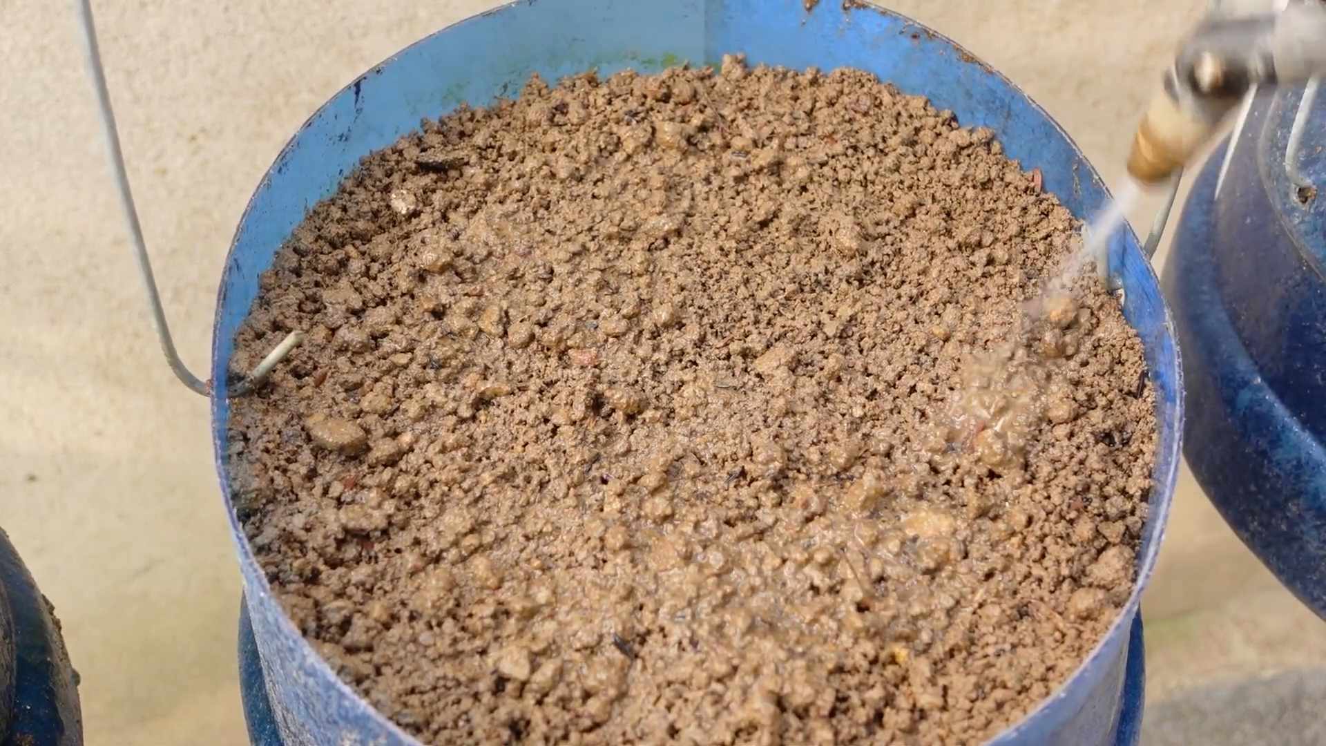 Grow Nutritious Plants Easily