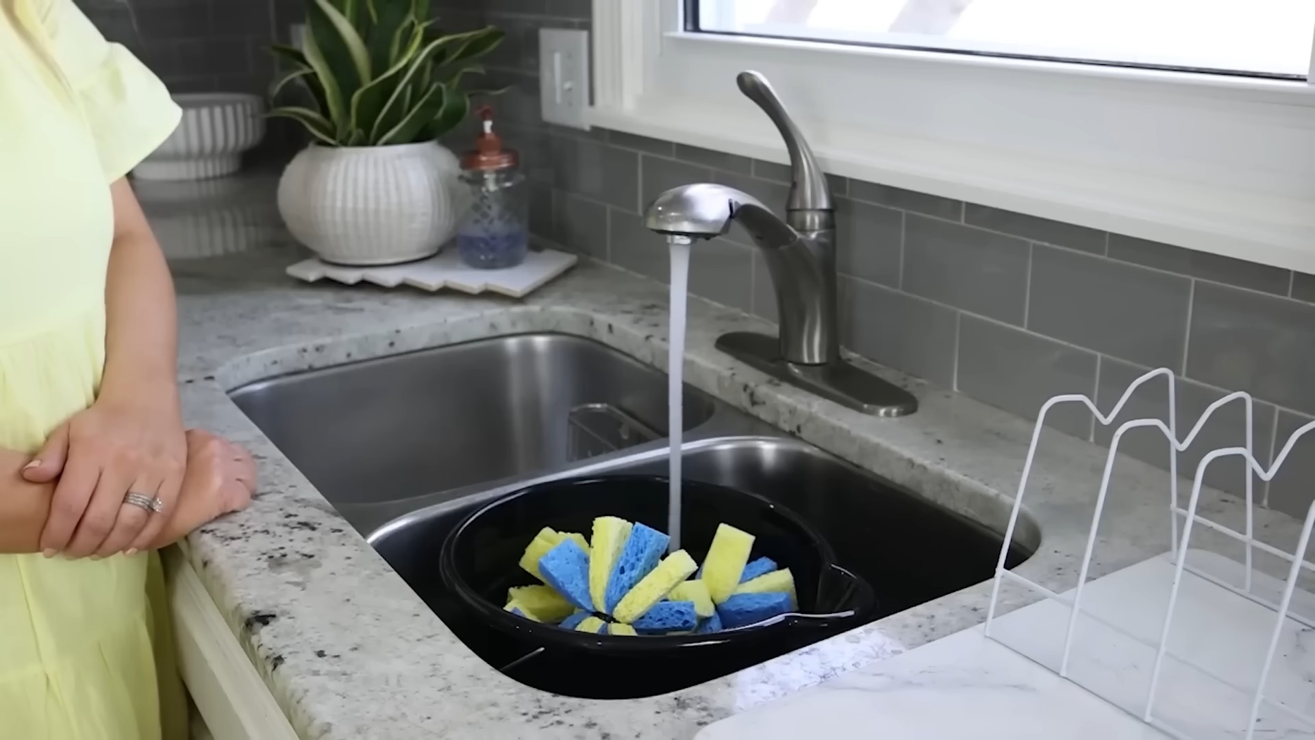 Growing Lettuce at Home