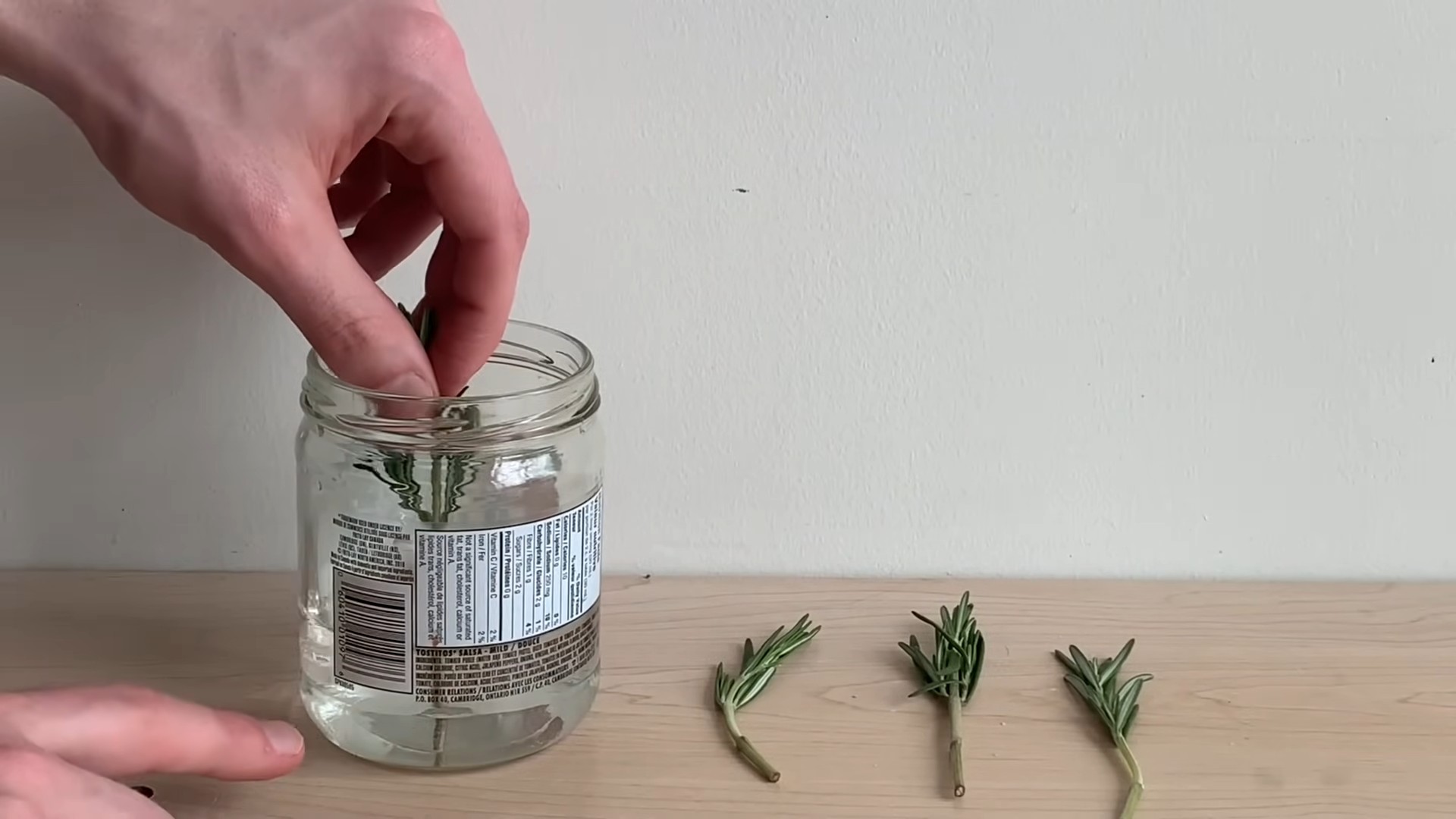 Grow Rosemary Indoors
