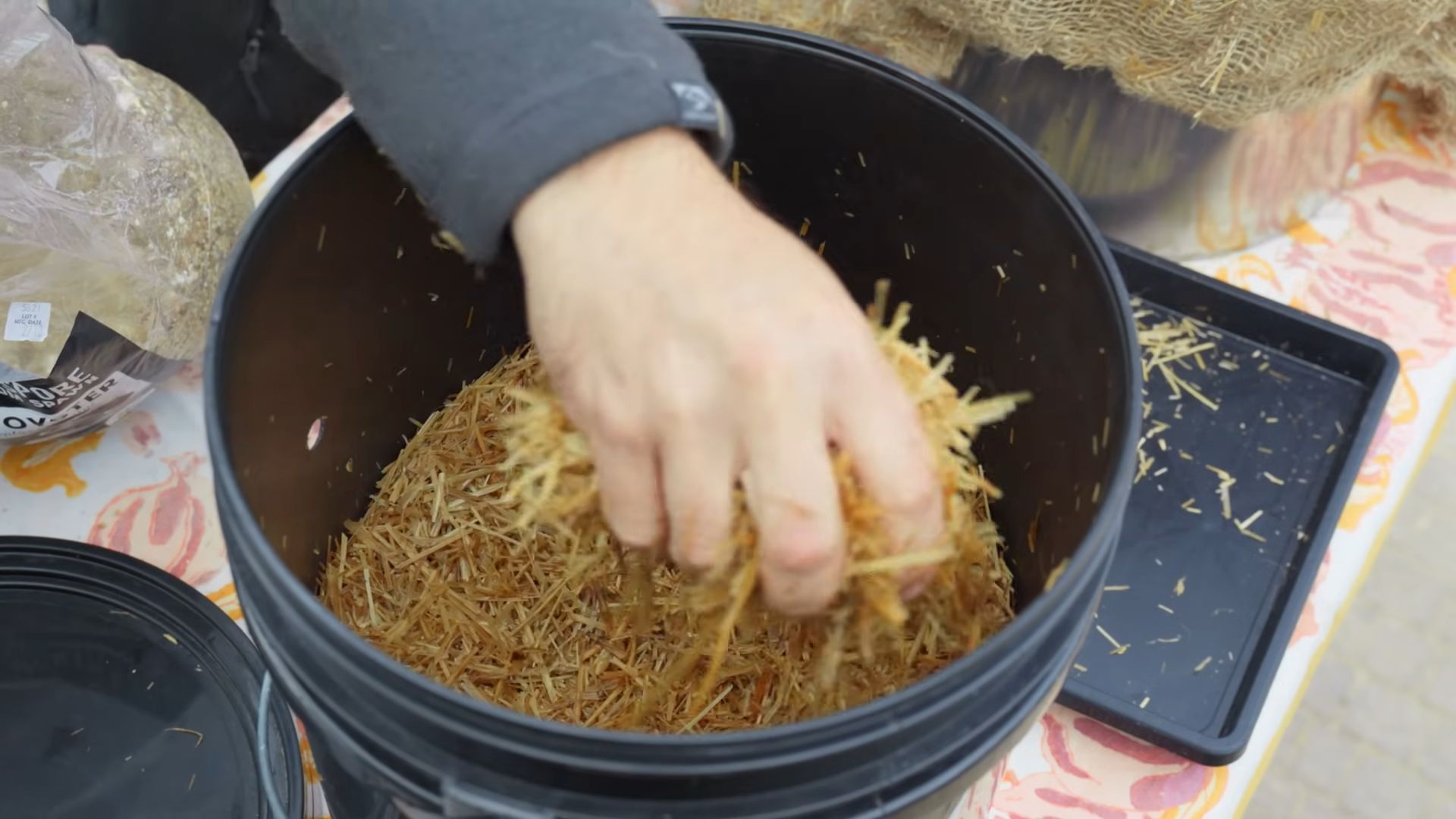 Mushroom Growing Bucket Indoor