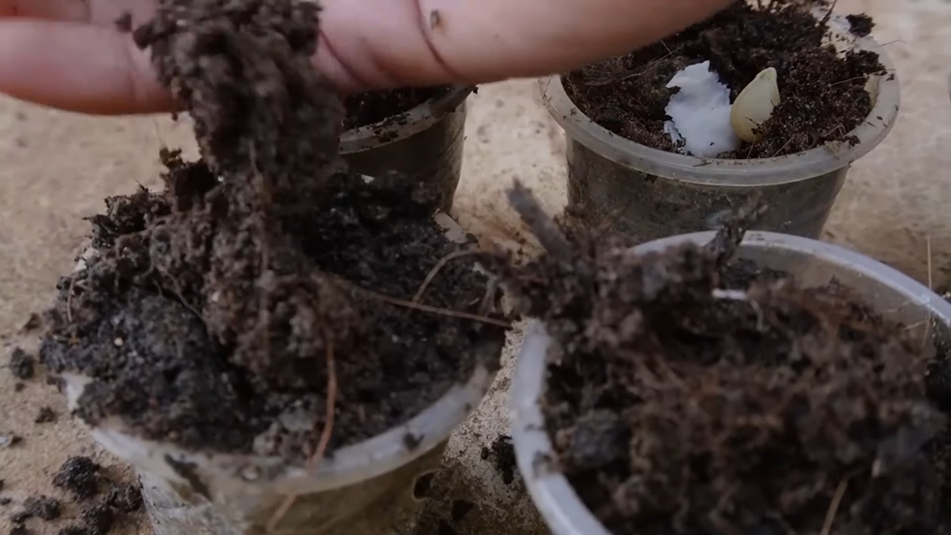 Soil-less garden high yields