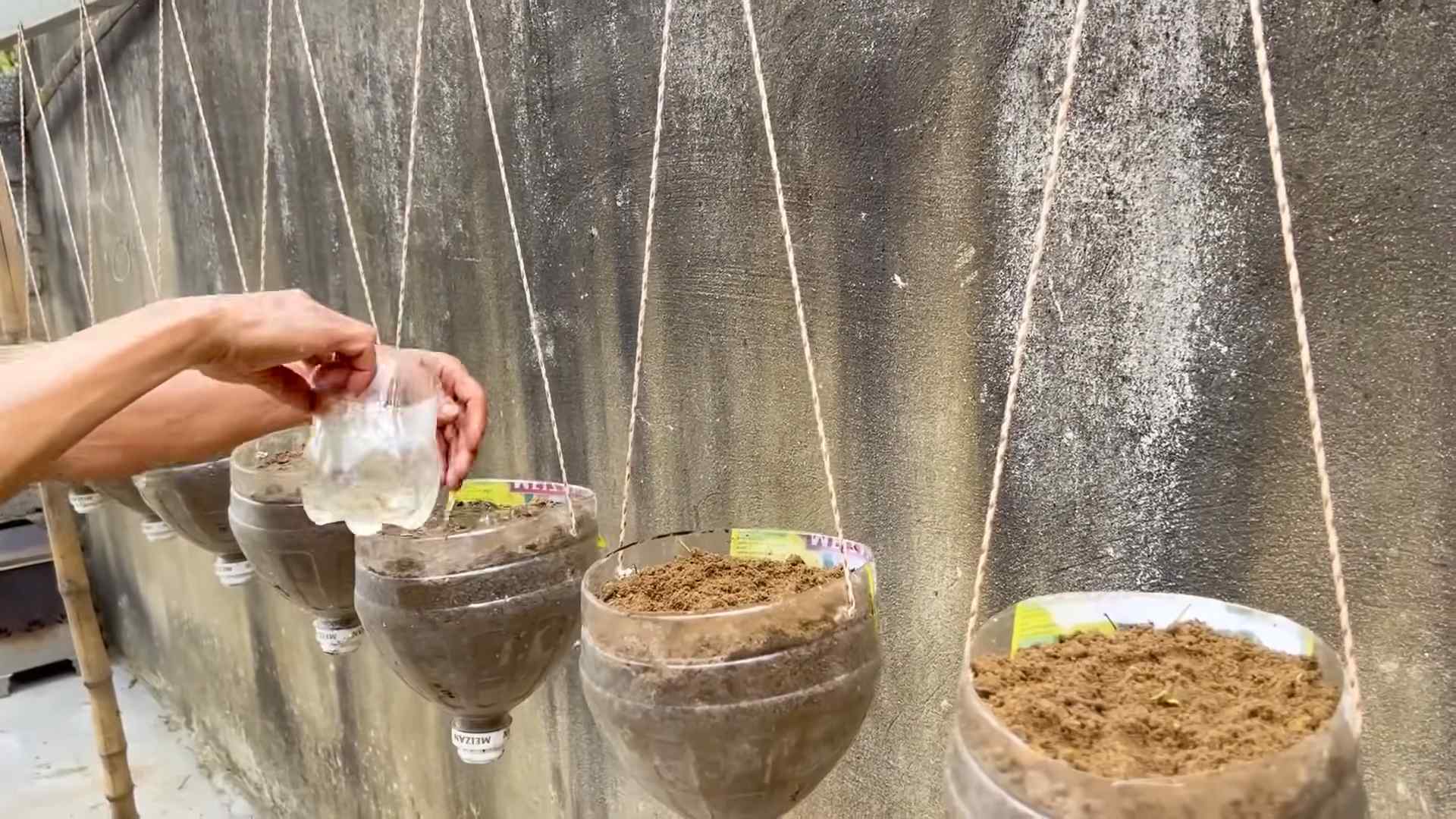 Grow Melons Easily