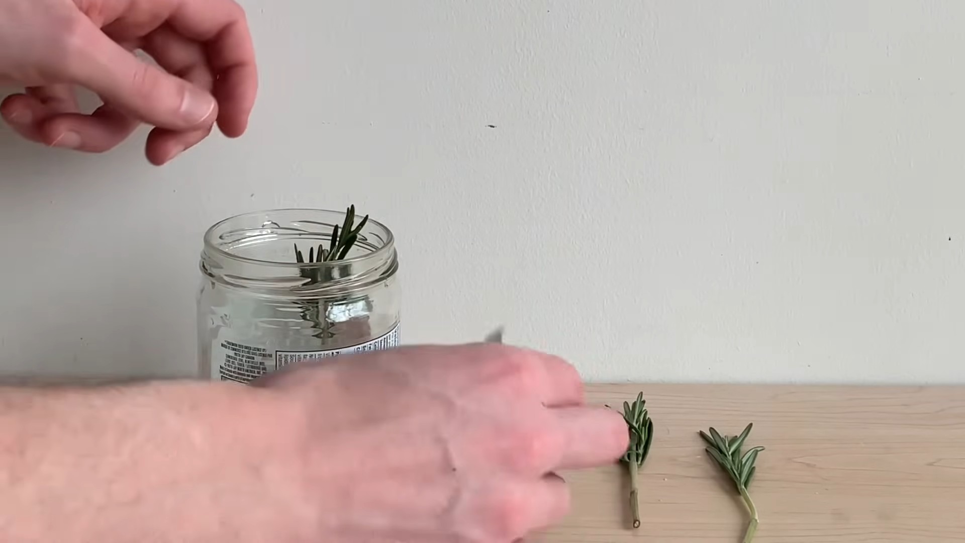 Growing Rosemary Indoors