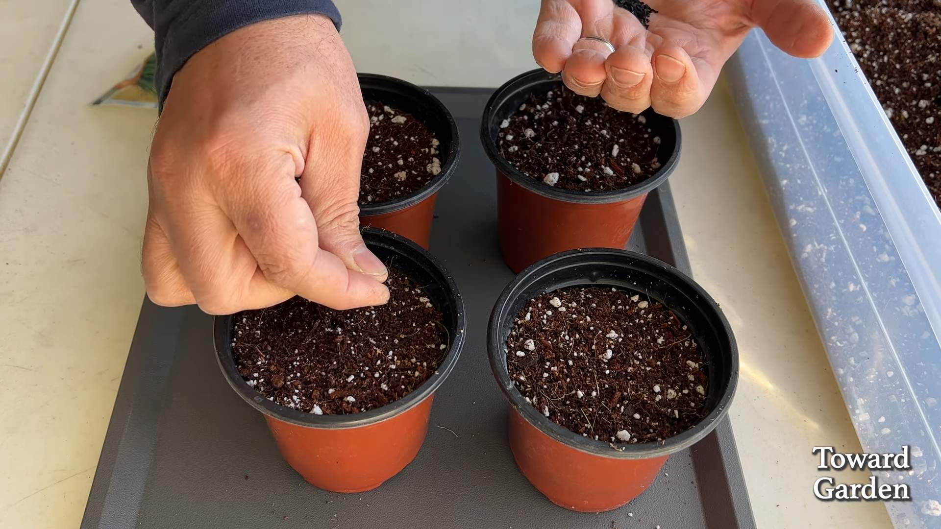 Grow Chives Kitchen Garden