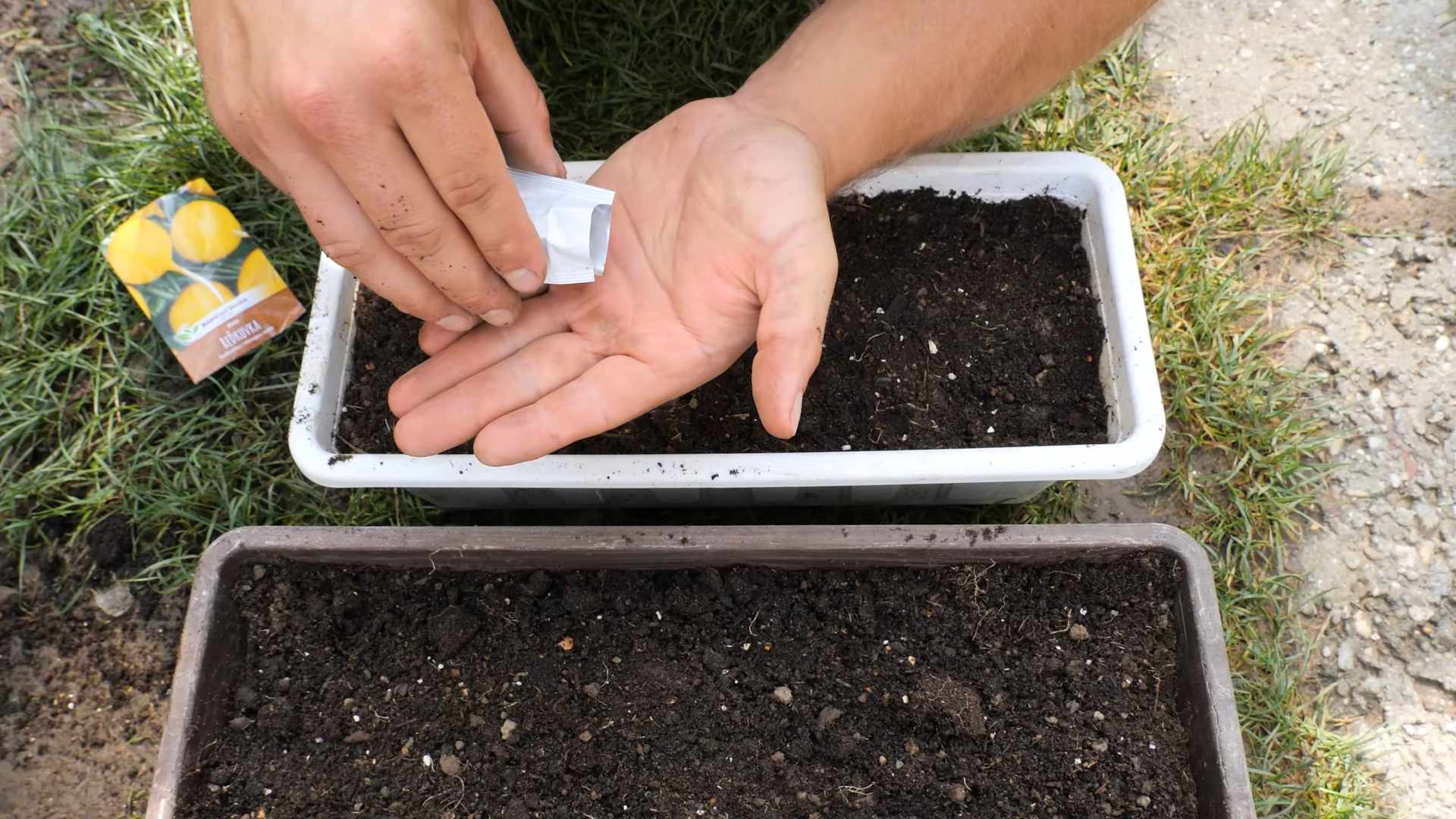 Spring Radish Gardening Guide